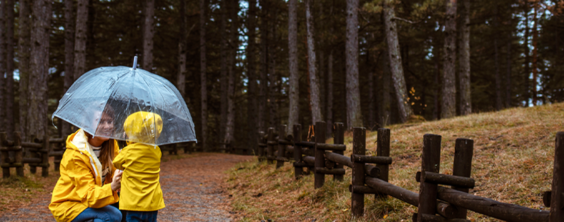 Featured Umbrella Insurance Banner